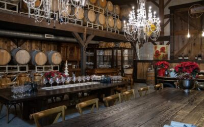 Unwind. Sip. Repeat. Private Yoga/Sound Journey Classes & Wine